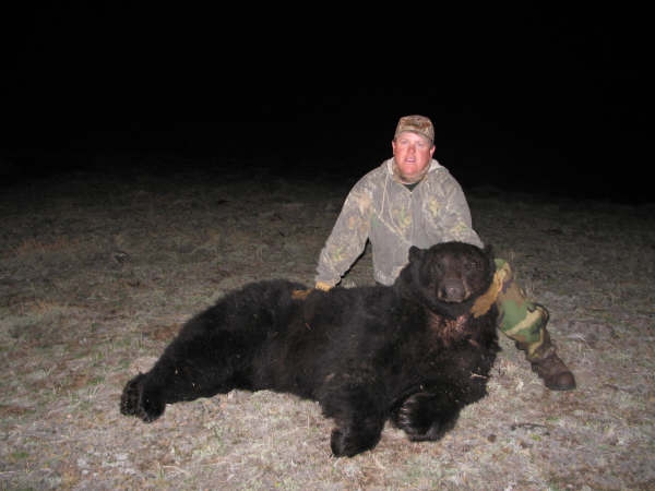 Wyoming Trophy Black Bear