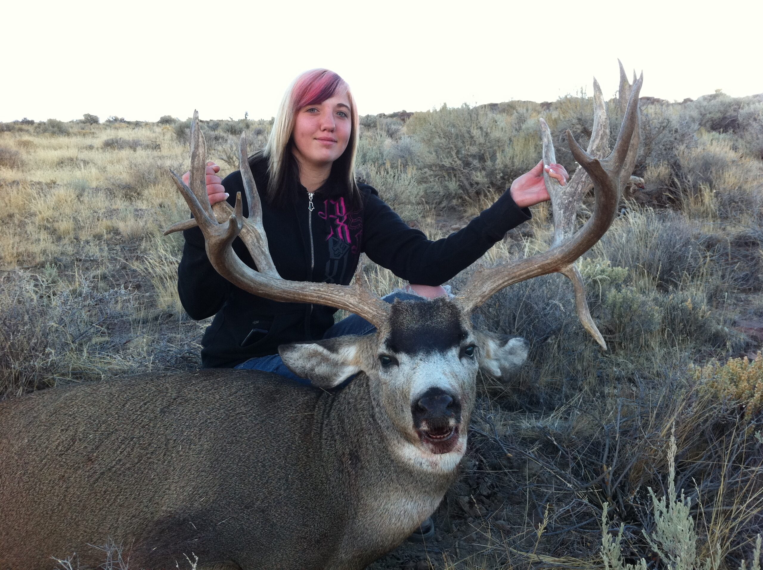 Kylie&#039;s Nevada Mule Deer