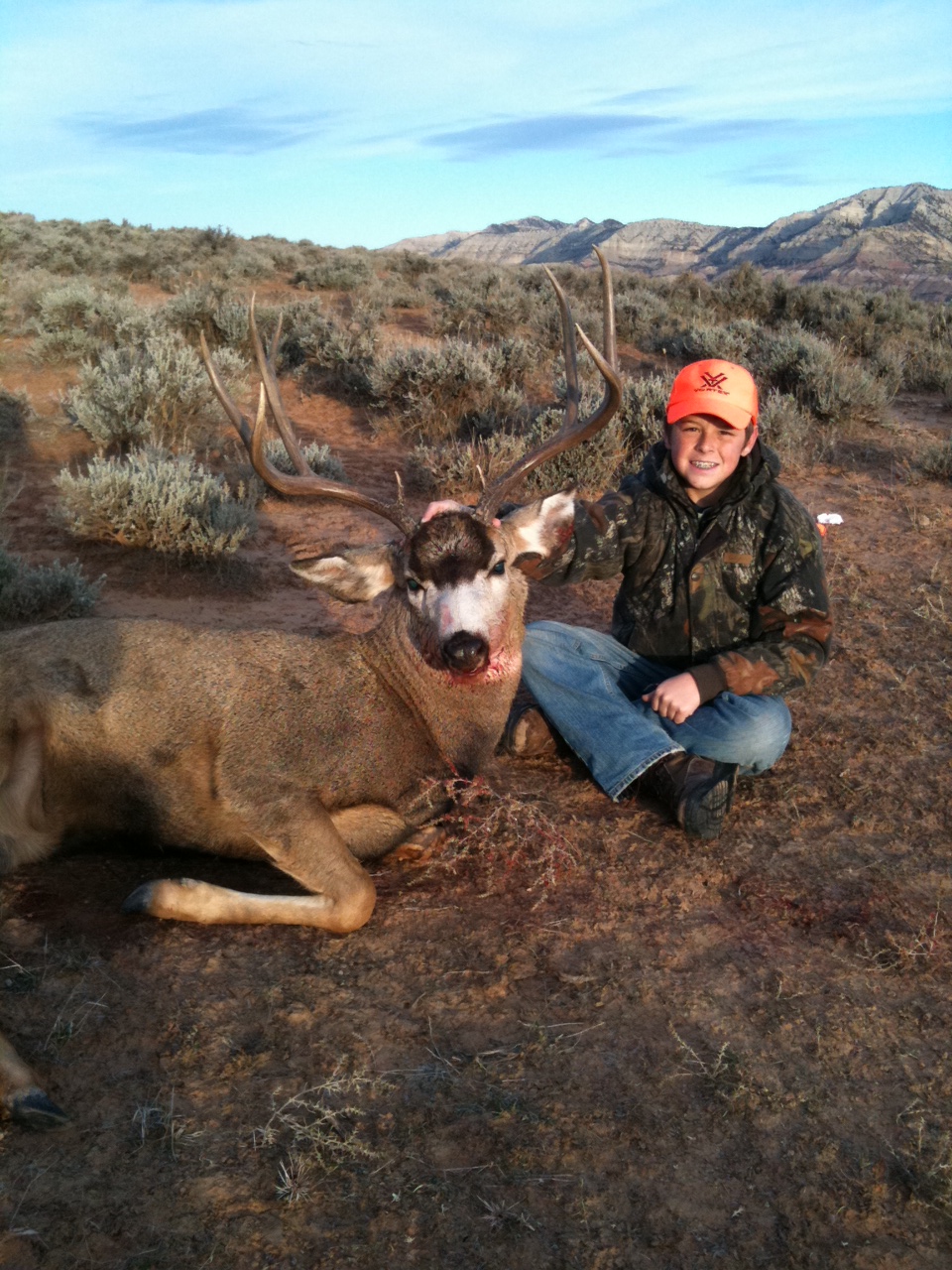 2011 CO BUCK