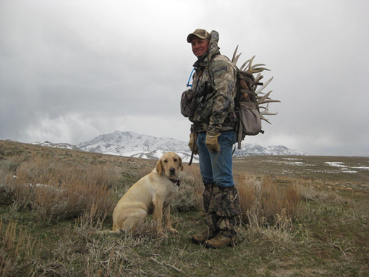 A successful day. 29 antlers in the pack.