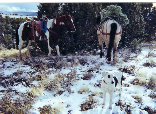 Re: Christmas Tree Cutting 2009. How many of you do it yourself?