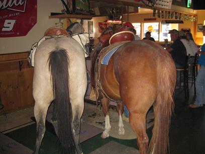 Bellied up at the bar!