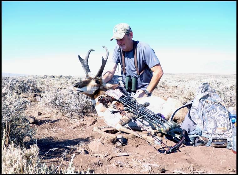 CA Archery Antelope...