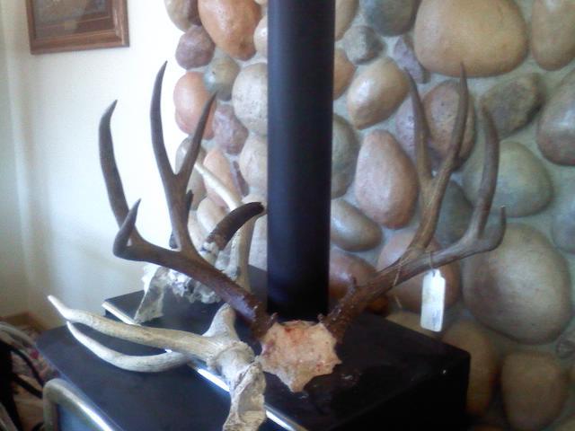 Re: High Country Muley! Best Buck Yet!