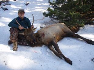 My first Bull Elk.. success!