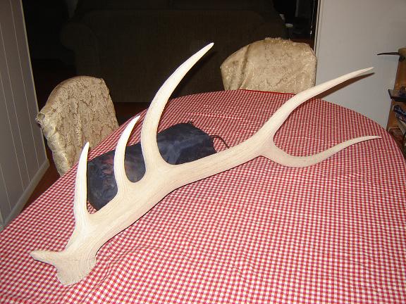 FrEaKy AnTlEr