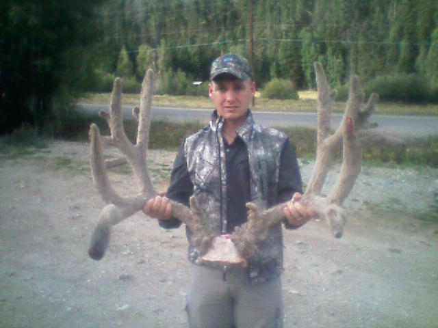 Monster NM Mulie