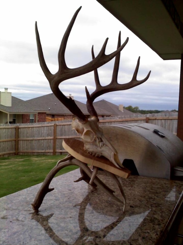 Buddies &#039;09 Whitetail - Euro Mount