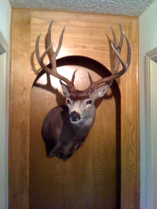 &#039;08 Muley Mount