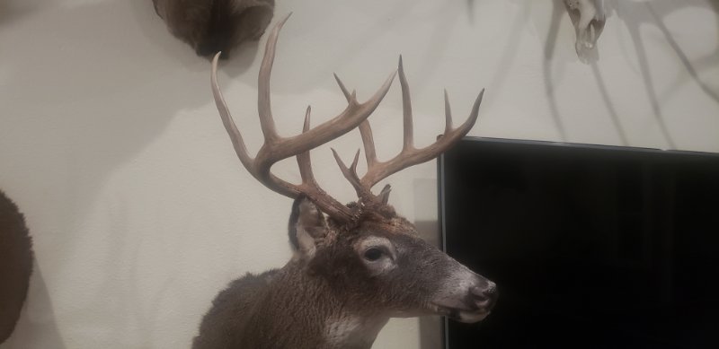 Re: 2011 Idaho Whitetail Adventure