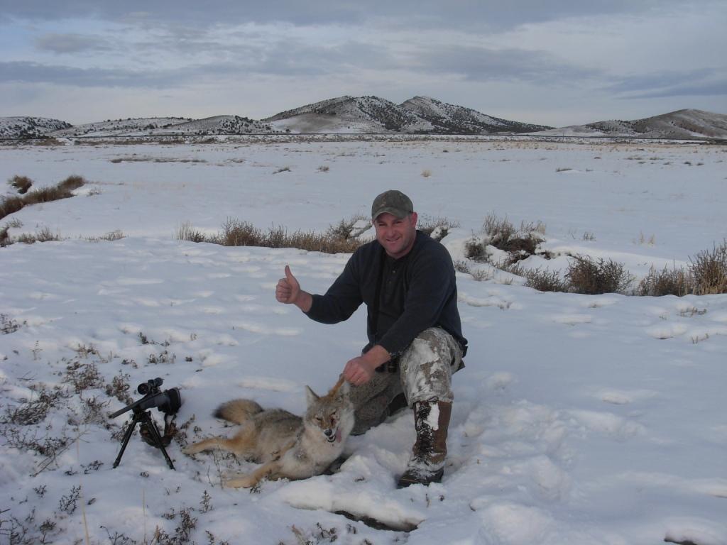 25-06AI 541yd coyote