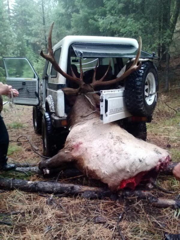 Re: another Great Oregon Elk Hunt!!