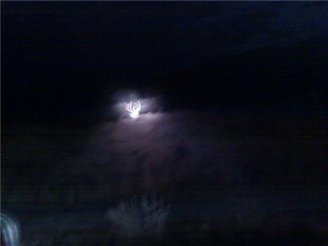 this buck was bedded down bout 50 yards off the road and my buddy Coloradobuck took the picture with his phone and spotlight but a nice buck