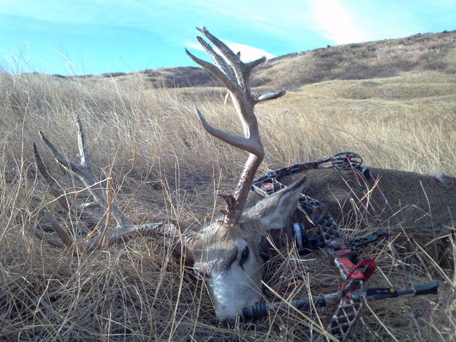 My 10x7 Buck of a lifetime that almost didn’t happen