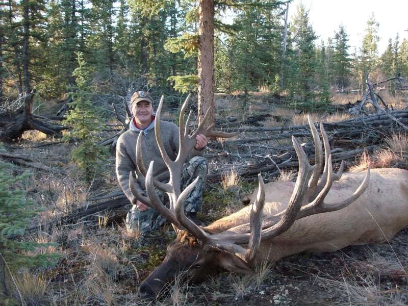 Yukon Elk Scoring 450