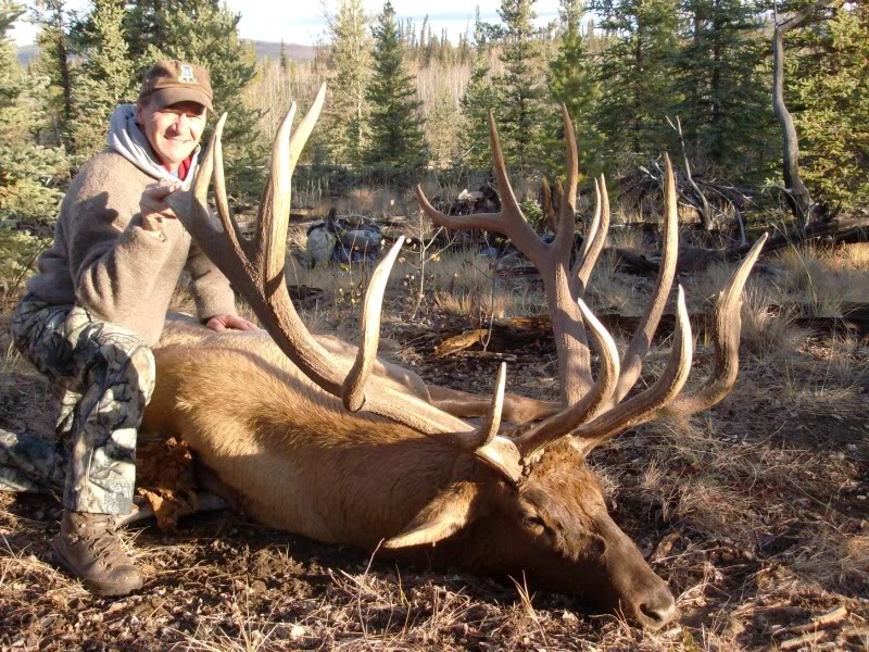 Yukon Elk Scoring 450