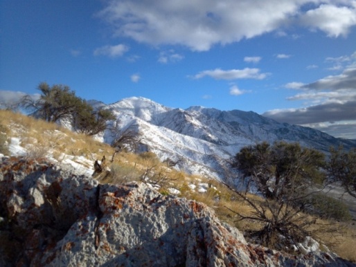 Nevada Buck, A promise kept