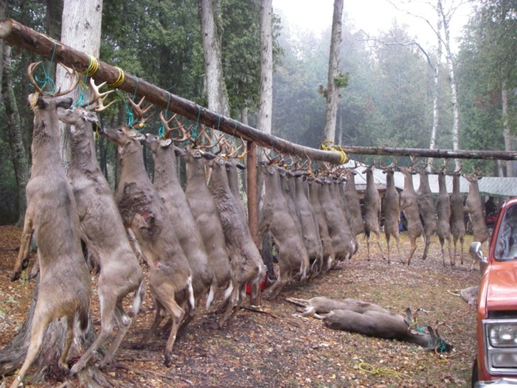 Michigan DNR raid of deer camp on island just north of Door