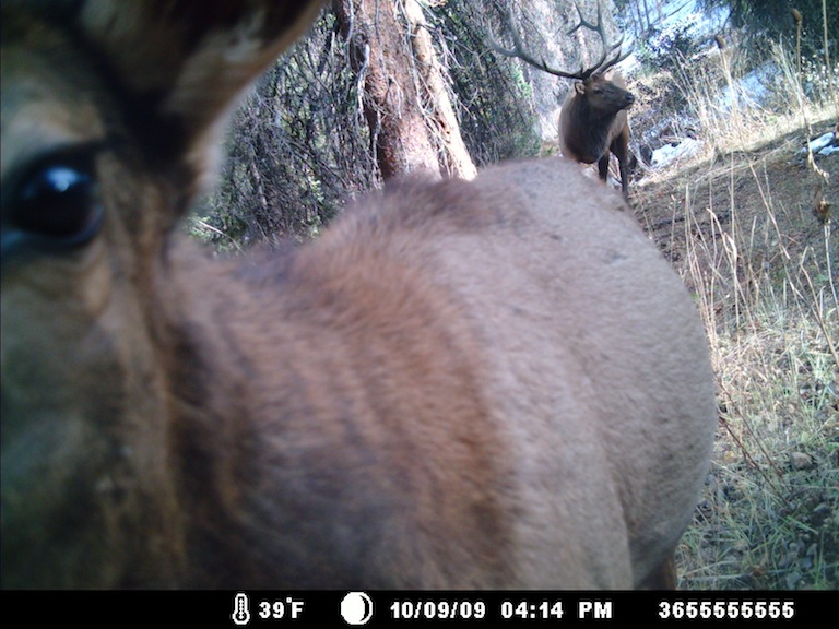 a good start for the uintas