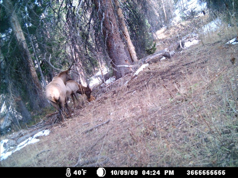 a good start for the uintas