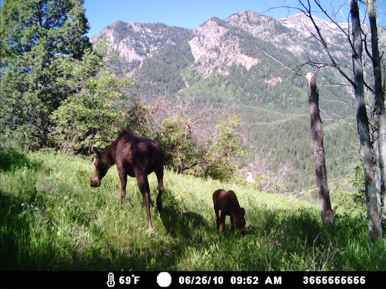 a good start for the uintas