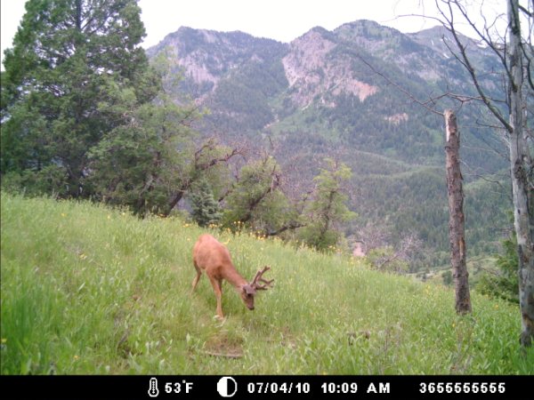 Re: a good start for the uintas