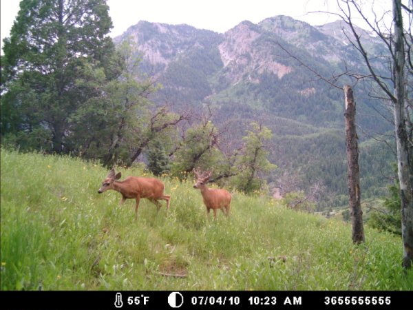 Re: a good start for the uintas