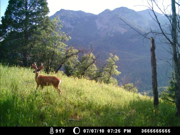 Re: a good start for the uintas