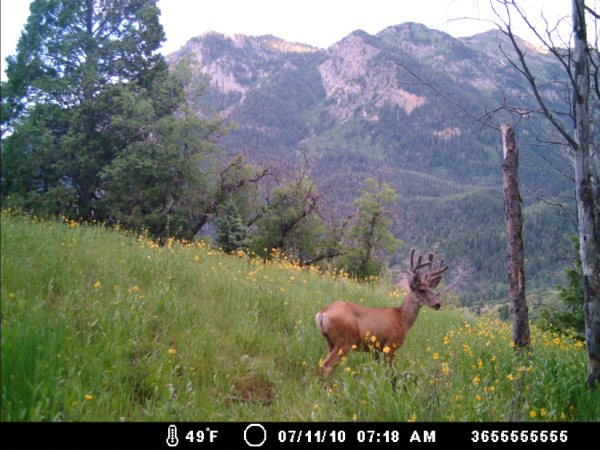 Re: a good start for the uintas