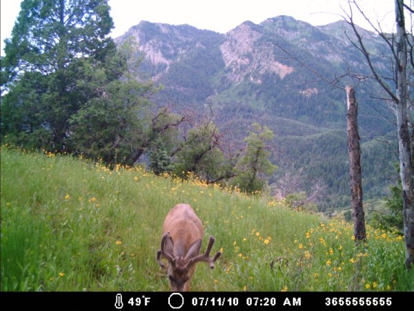 Re: a good start for the uintas