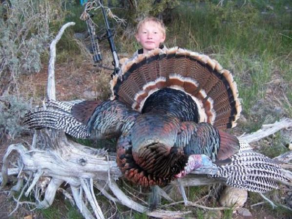 Check out this STUD bird!