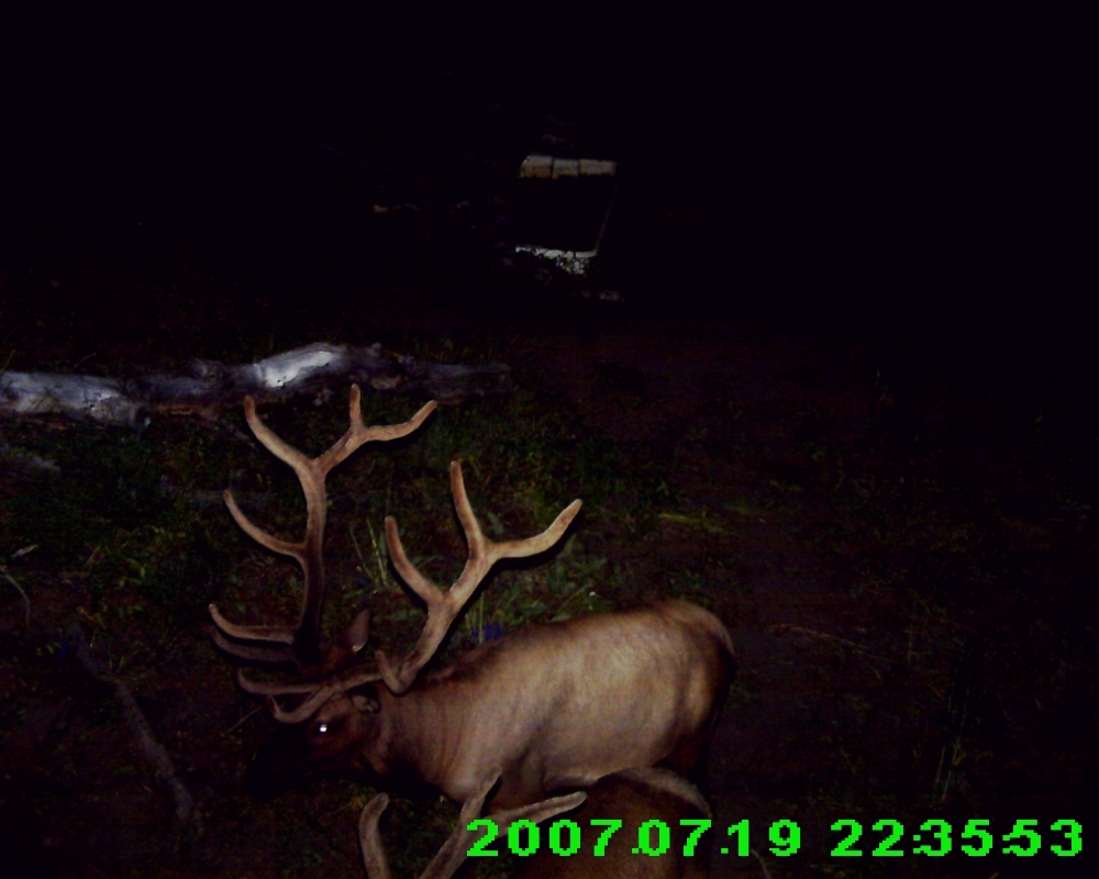 My Pahvant archery elk hunt. 2015