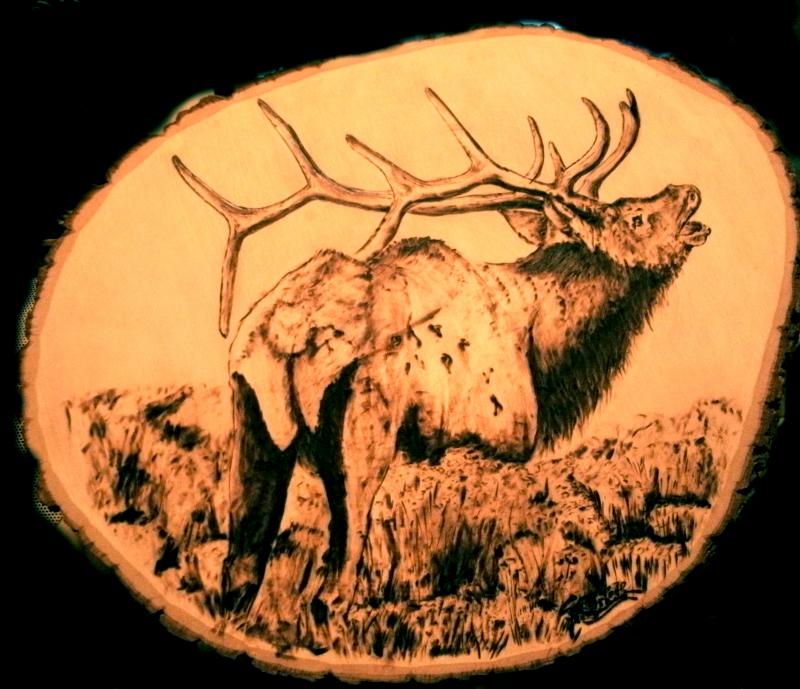 Bull Elk Wood Burning (Pyrography)