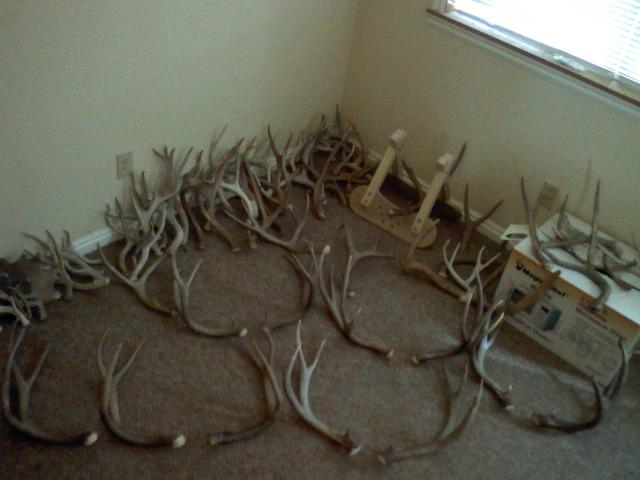 last season sheds