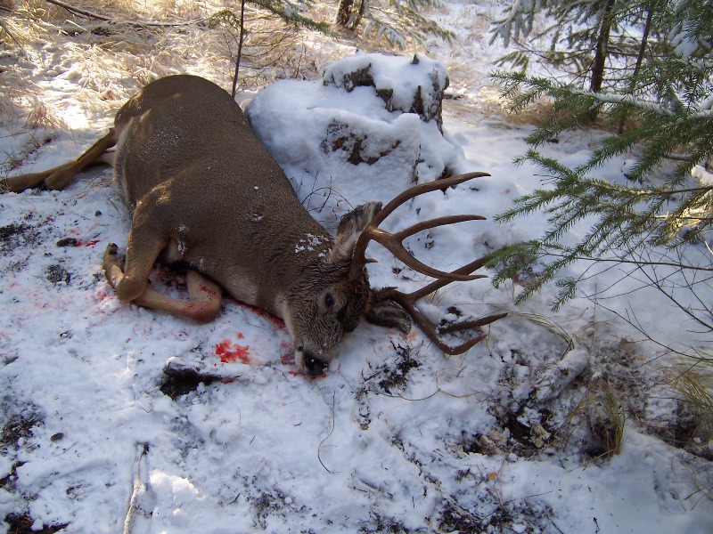 A few Lil&#039; Washington Bucks