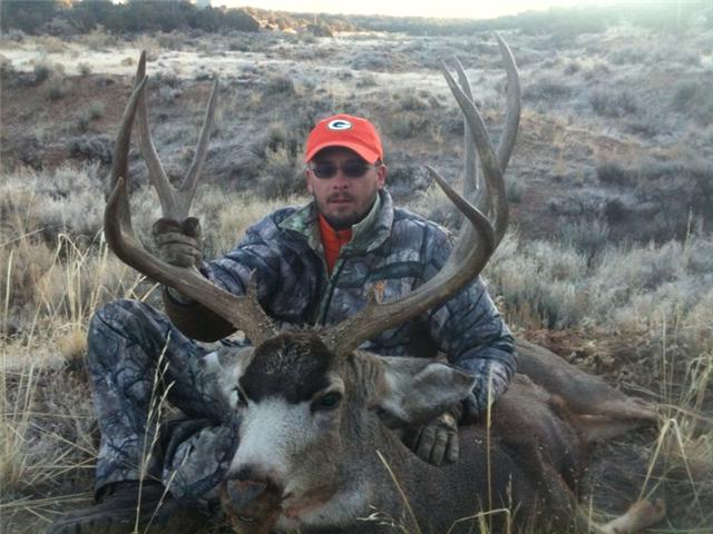 2009 mule deer pic