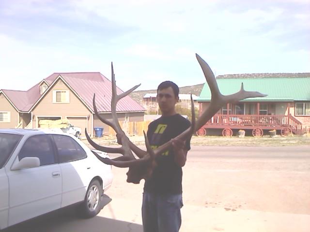 found some elk sheds