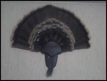 My turkey mount