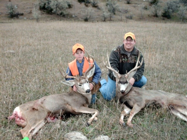 Some S outh Dakota muledeer