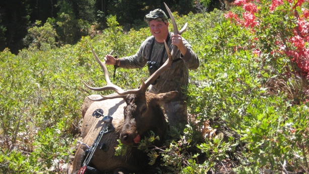 Finally! First Bull Elk