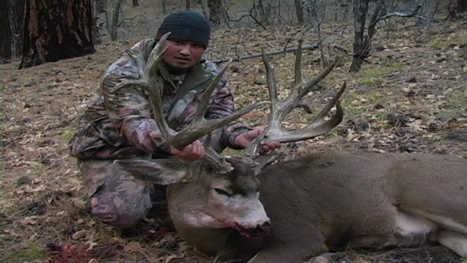 244 inch Kaibab Monster!