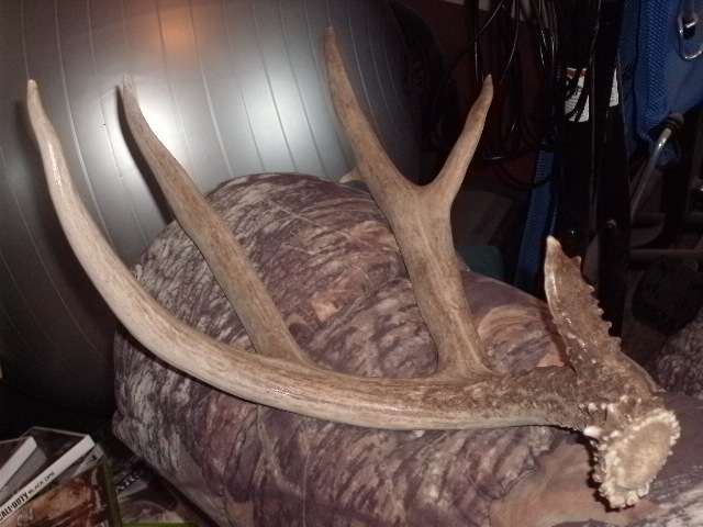 91 3/4&#039;&#039; deer shed