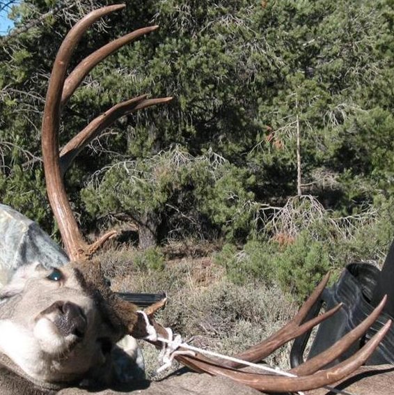 2007 Muzzleloader Buck