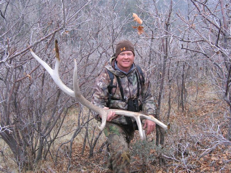 November Elk Shed