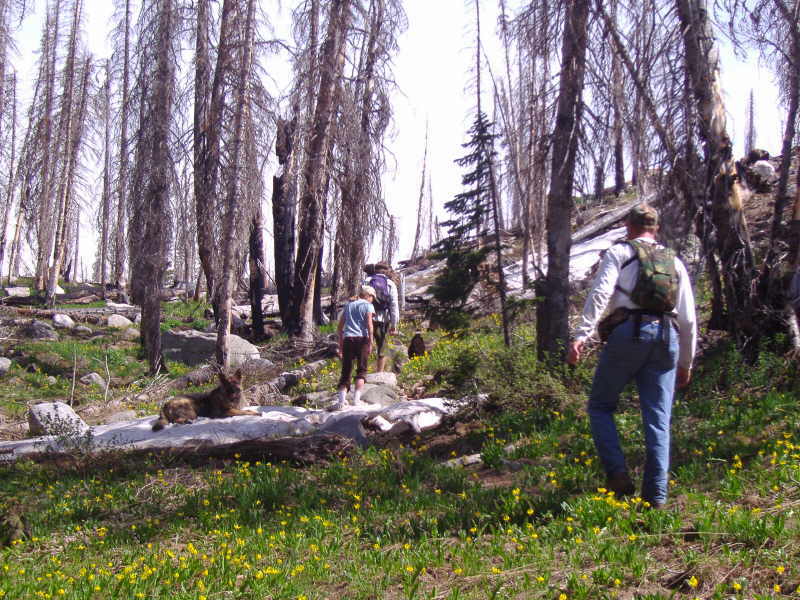 Re: Colorado Hike