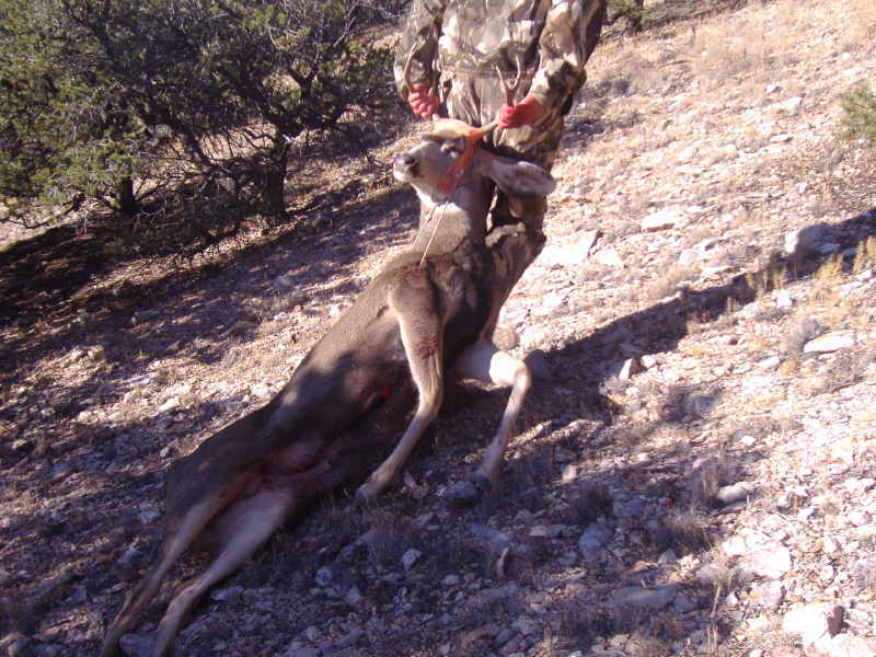 Re: My son&#039;s New Mexico youth hunt