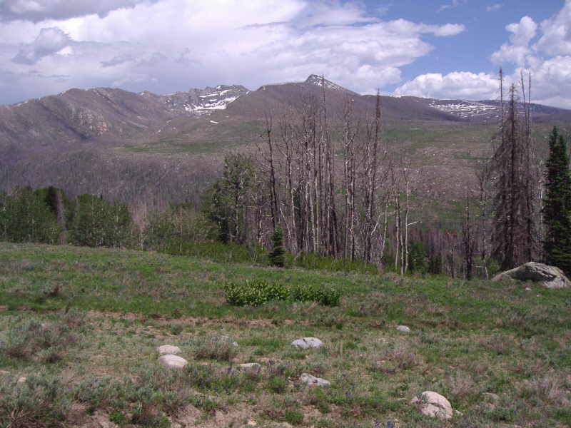 Solo Hike in CO.