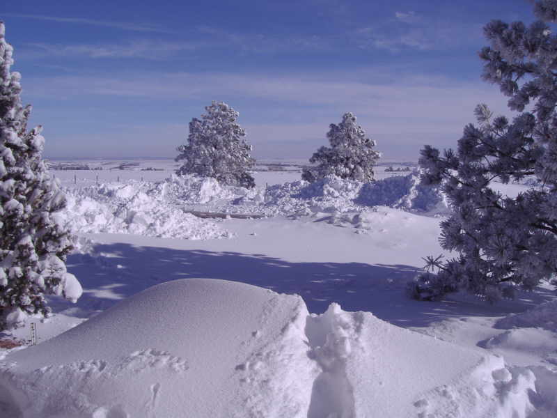 Colorado snow.....