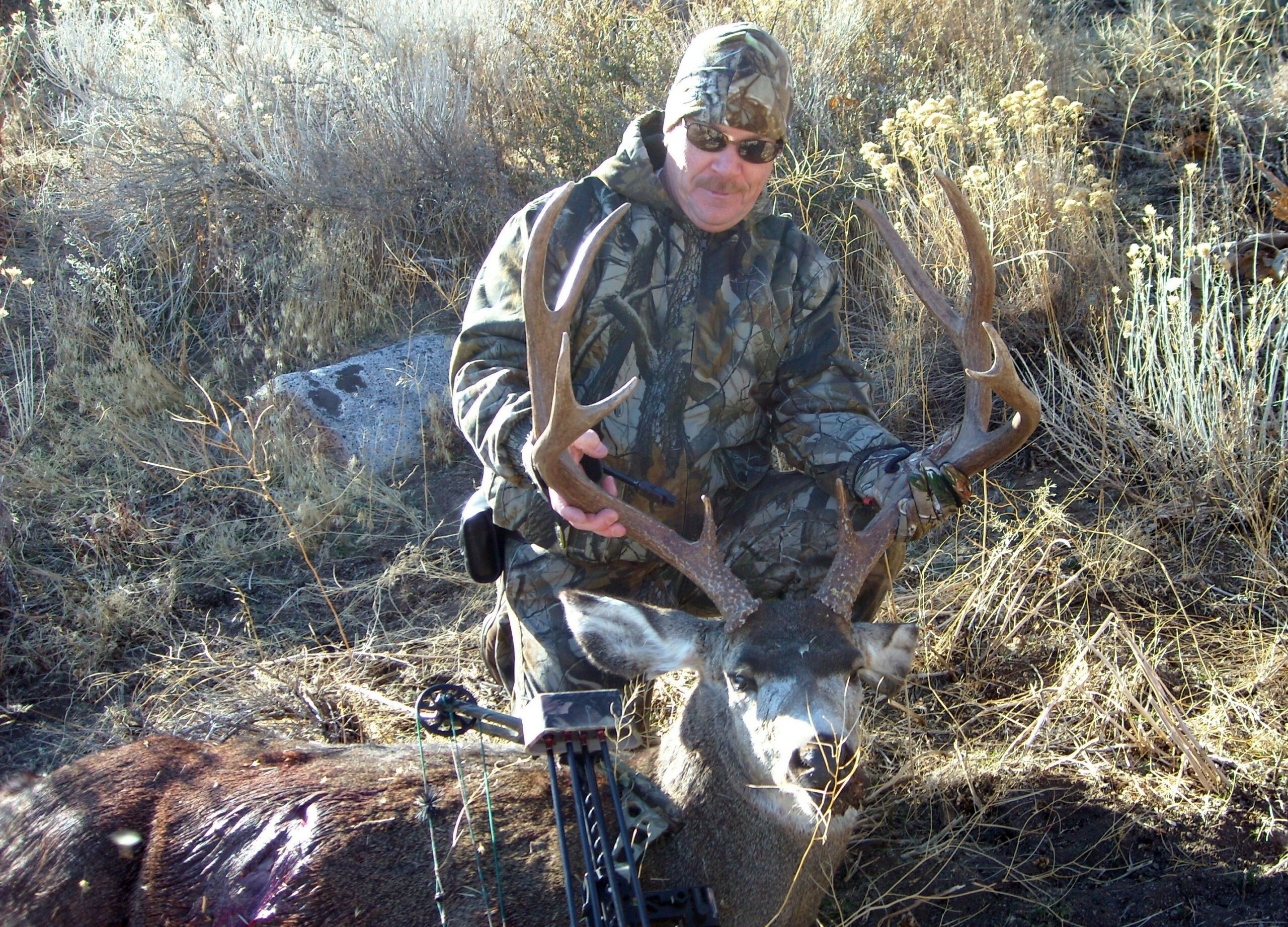 2011 Nevada Mule Deer