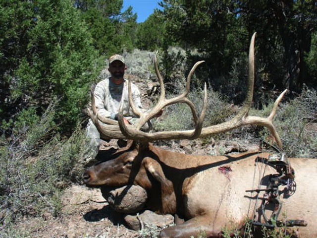 Plateau Boulder, Utah Early Rifle Elk Tag